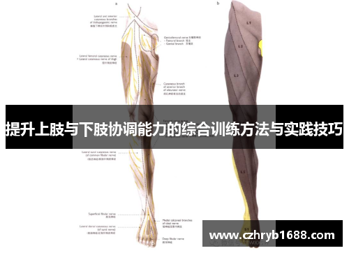 提升上肢与下肢协调能力的综合训练方法与实践技巧 提升上肢与下肢协调能力的综合训练方法与实践技巧