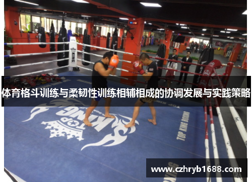 体育格斗训练与柔韧性训练相辅相成的协调发展与实践策略